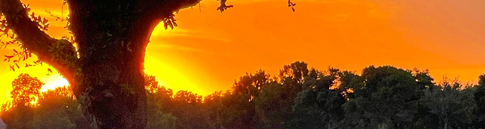 Sunset over a golf course